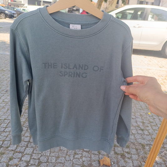 Sweatshirt de Menino ZY Verde-Seco com Texto em Relevo 5-6 anos