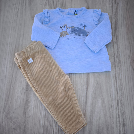 Conjunto cinzento losan— Elefantes