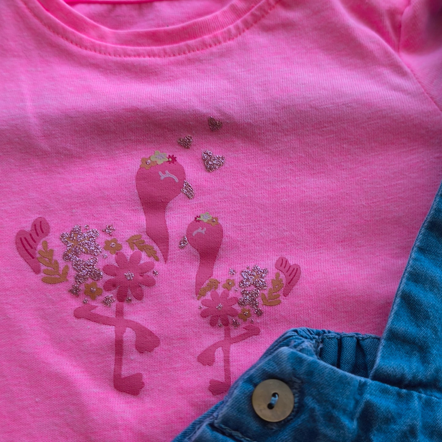 Conjunto de Verão Zippy & Inextenso: Jardineiras de Ganga e T-shirt Flamingos – 3-6 Meses