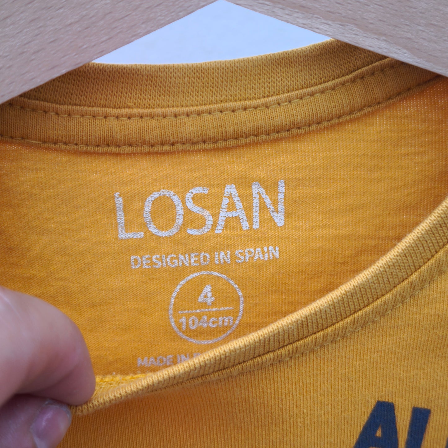 Camisola Dinossauro Losan